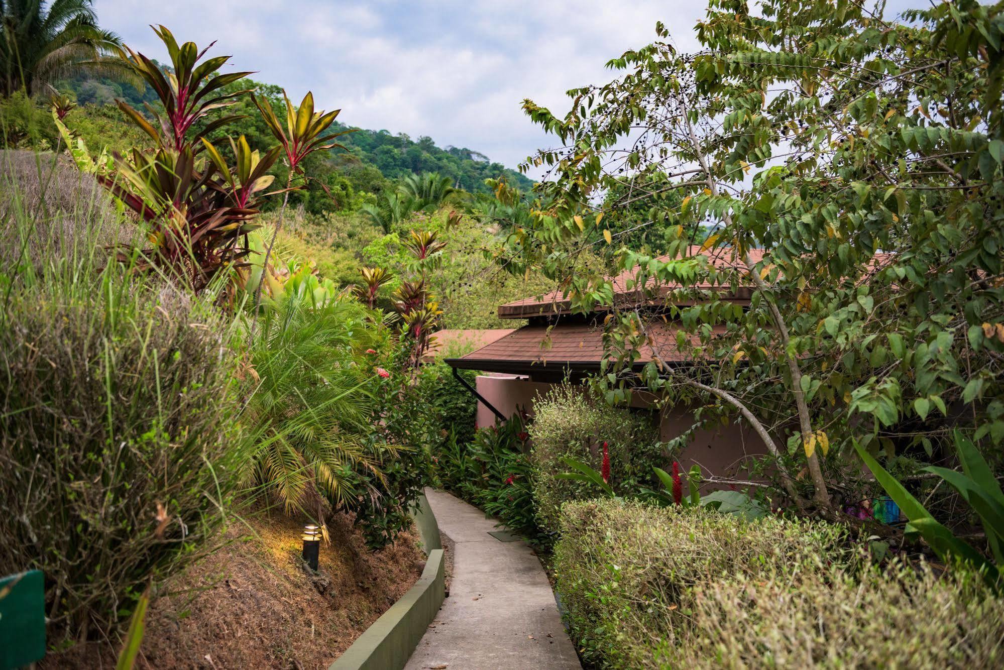 Tiki Villas Rainforest Lodge & Spa อูวีตา ภายนอก รูปภาพ