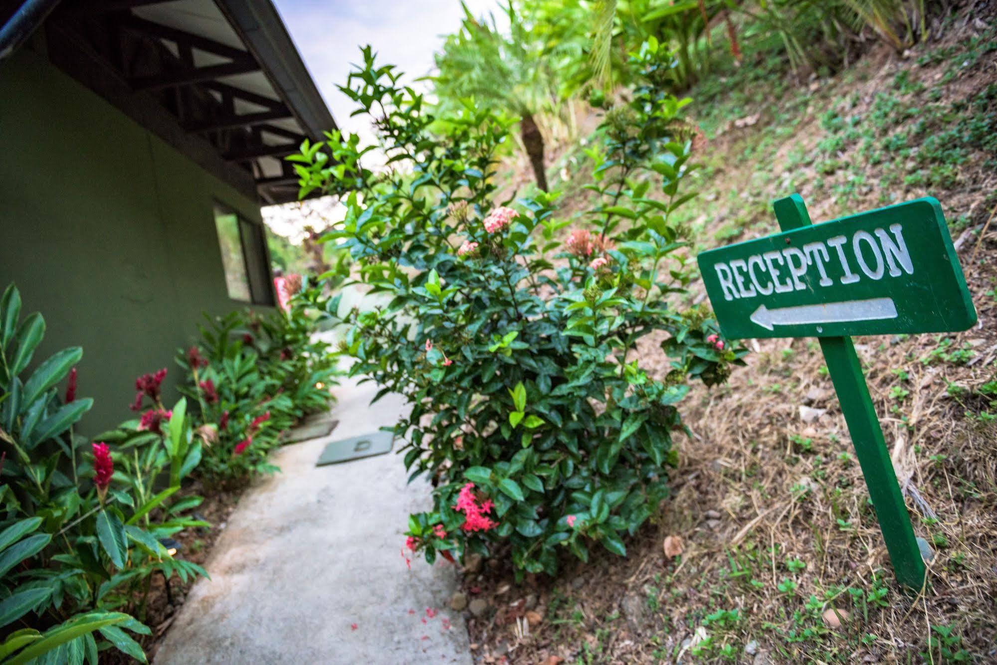Tiki Villas Rainforest Lodge & Spa อูวีตา ภายนอก รูปภาพ